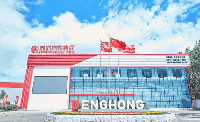 恒峰g22(国际)官网入口-天天有惊喜