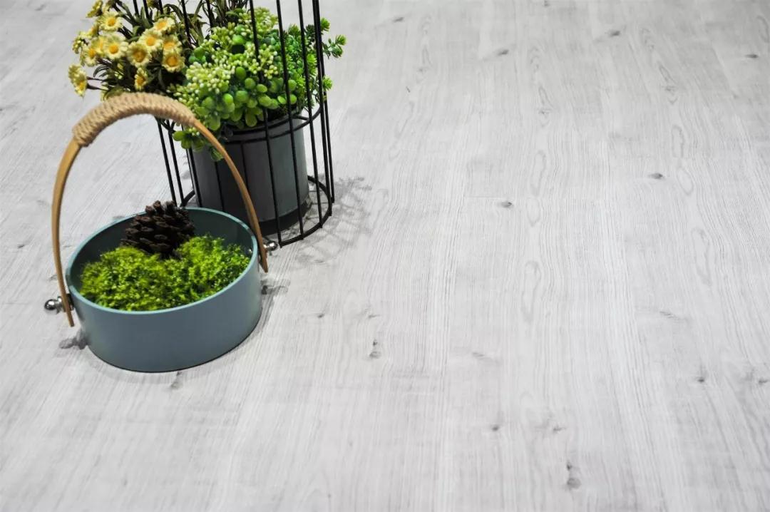 恒峰g22强化地板伊丽莎白系列-5806