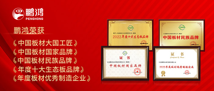 中国板材与定制家居大会，，，，，，，恒峰g22揽获5项声誉