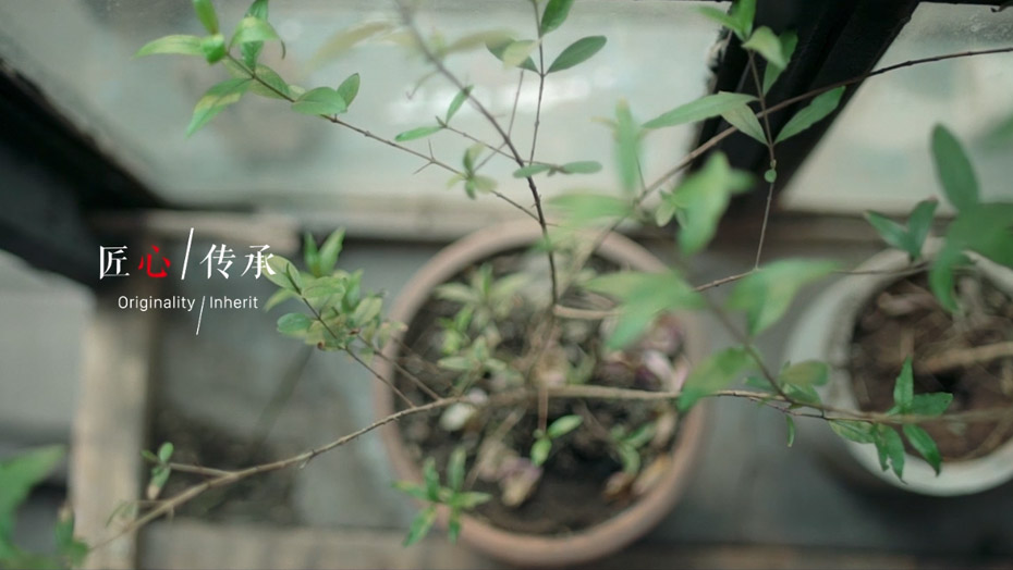 恒峰g22(国际)官网入口-天天有惊喜